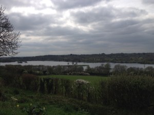 View from The Old Orchard